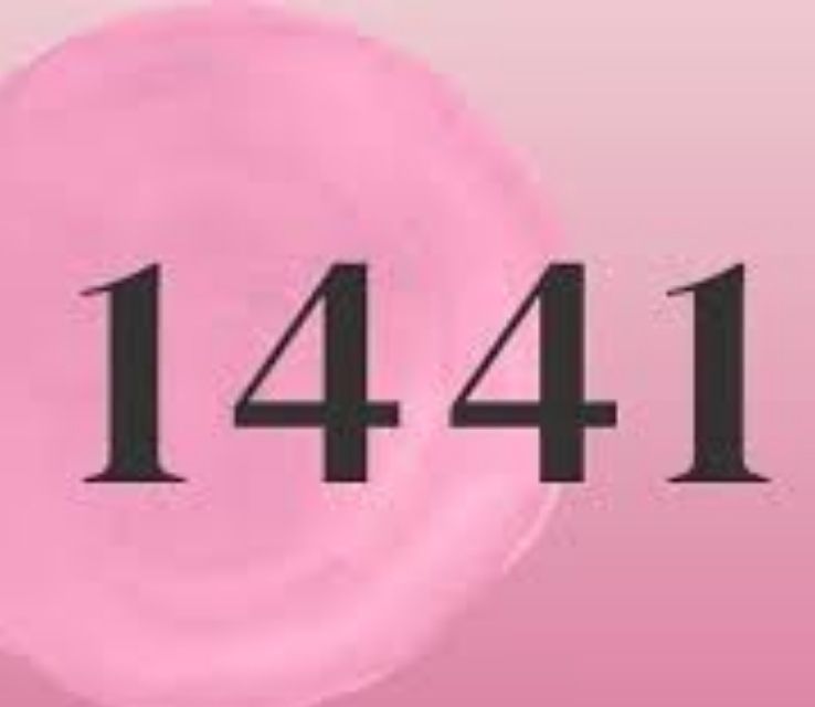 1441 Angel Number Career