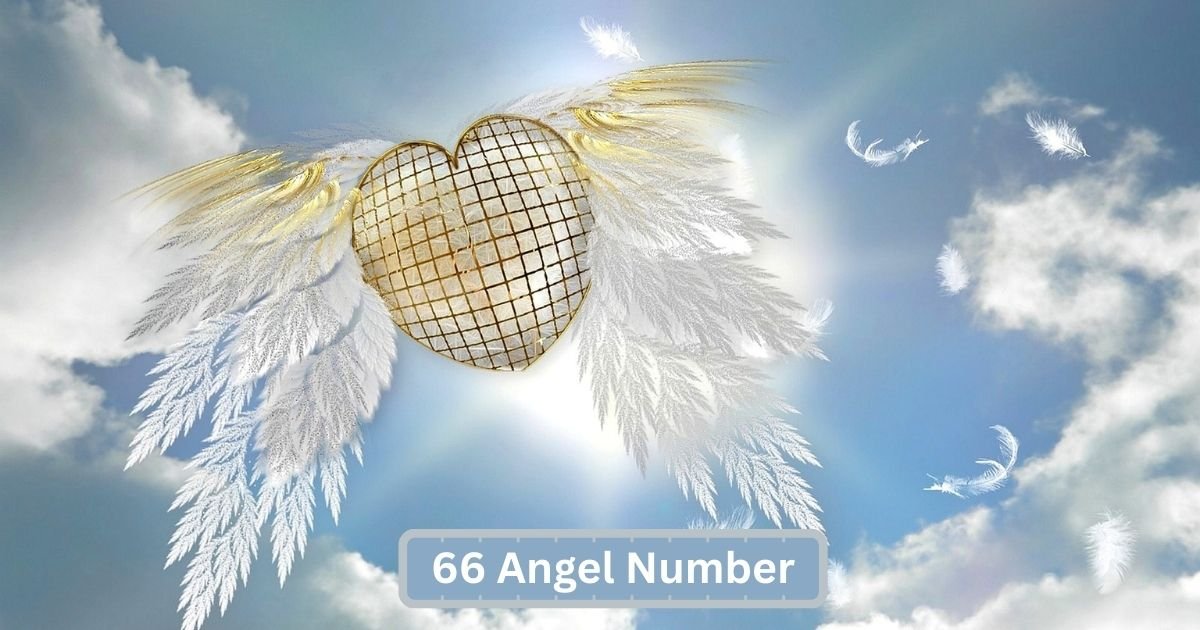 66 Angel Number