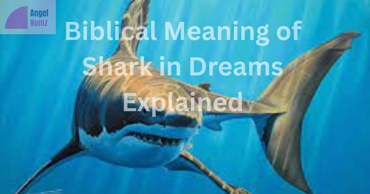 Biblical Meaning of Shark in Dreams Explained