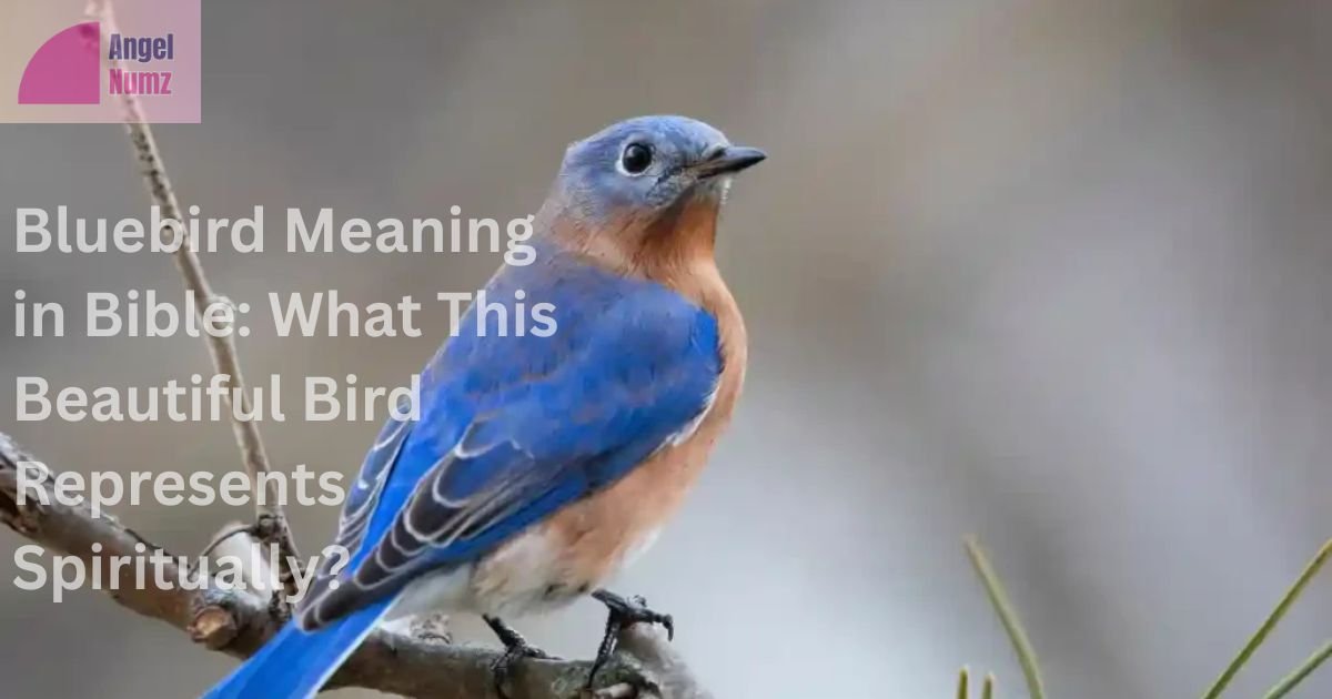Bluebird Meaning in Bible