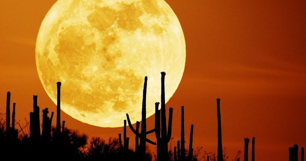 The End Of The World