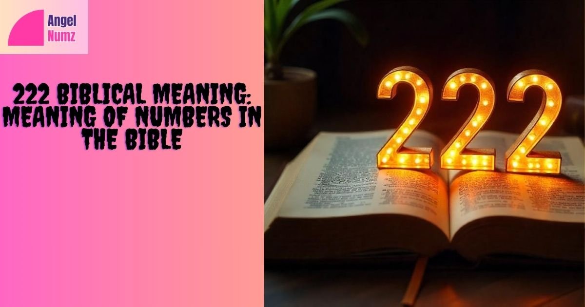 222 biblical meaning