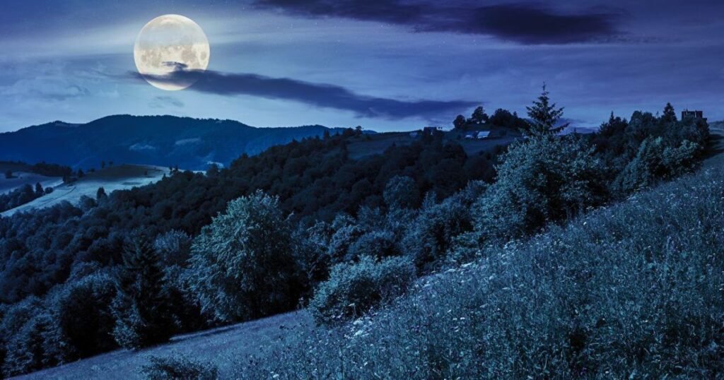 Sweet Good Night Wishes and Blessings