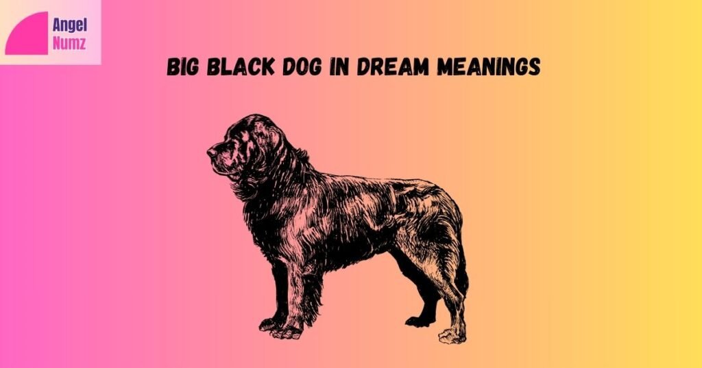 Big Black Dog in Dream Meanings