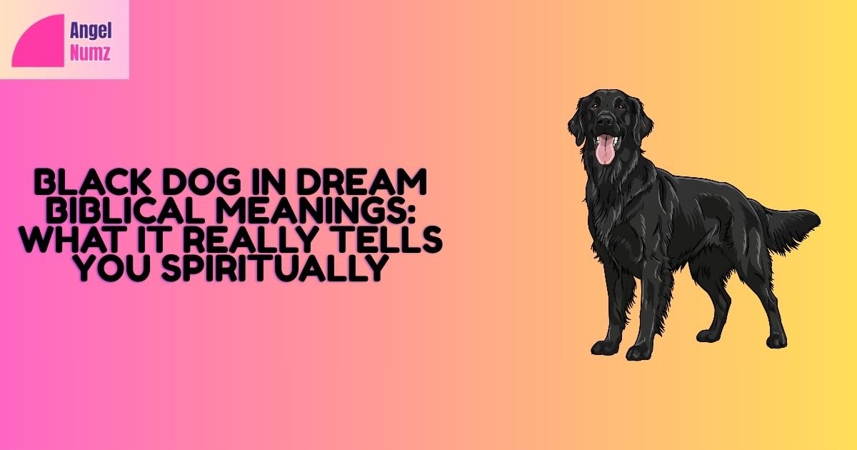 Black Dog in Dream Biblical Meanings