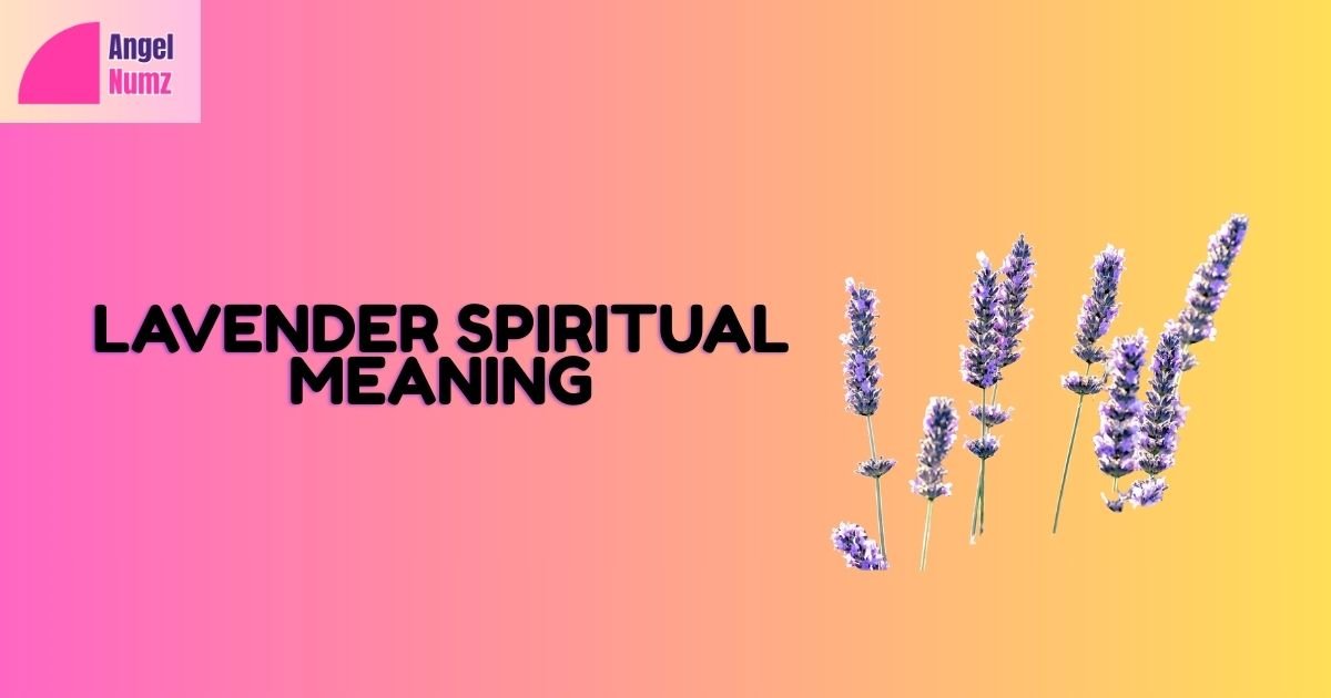 Lavender Spiritual Meaning