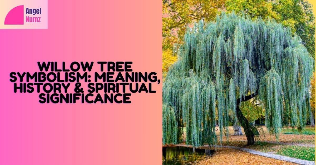 Willow Tree Symbolism
