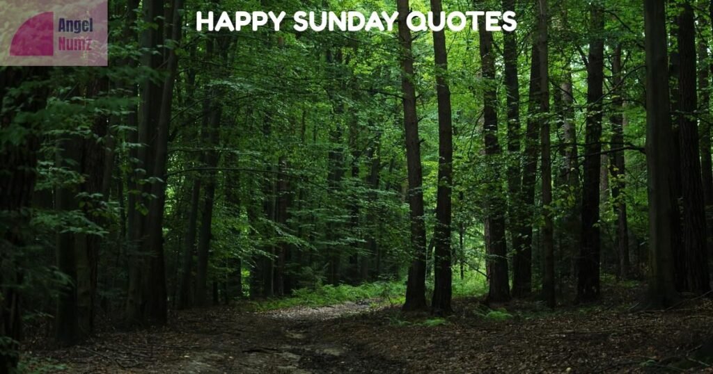 Happy Sunday Quotes